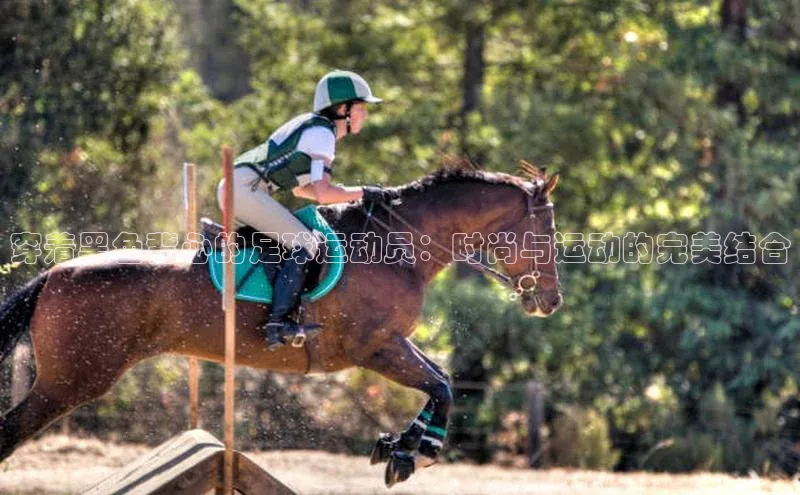 杏悦娱乐代理百度手机输入法