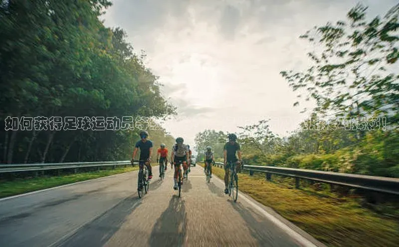 杏悦APP官方网站入口猫眼