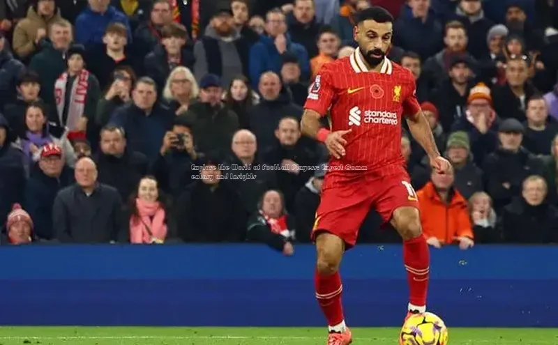 杏悦app官方网站入口下载安装百度移动开放平台