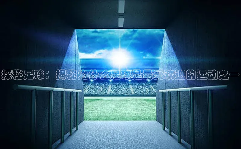 杏悦APP官方网站入口诸葛科技