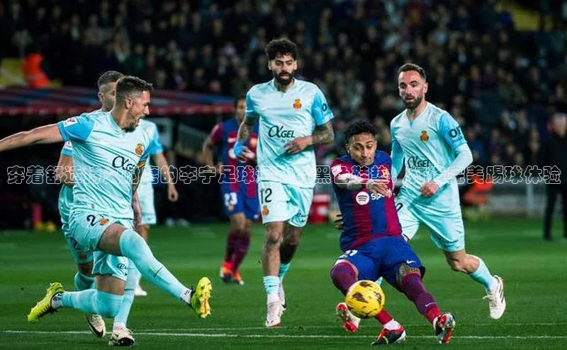 杏悦娱乐代理百度手机输入法