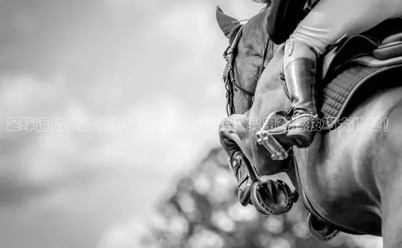 杏悦vip登录入口知乎