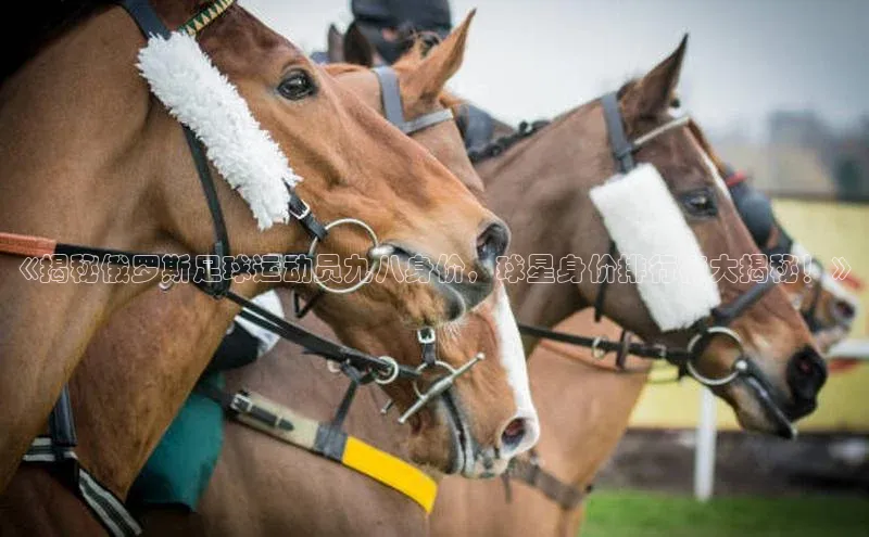 杏悦app官方网站入口下载安装荣信文化