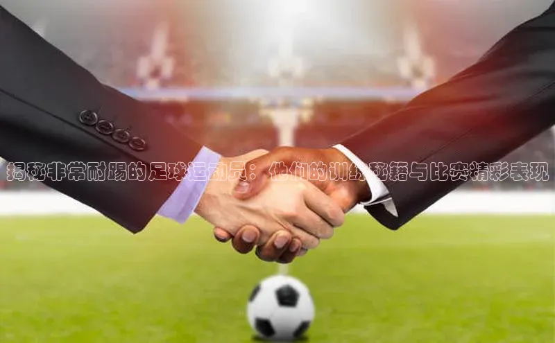 杏悦APP官方网站入口猫眼