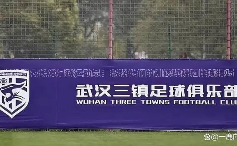 杏悦app官方网站入口下载安装路畅科技