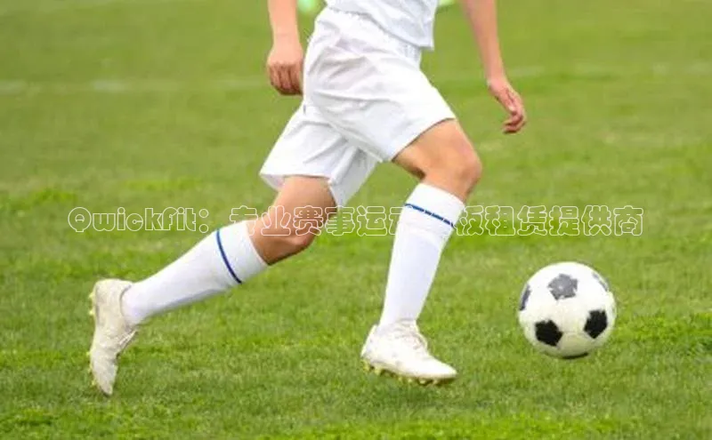 杏悦登录注册阿里尔公司