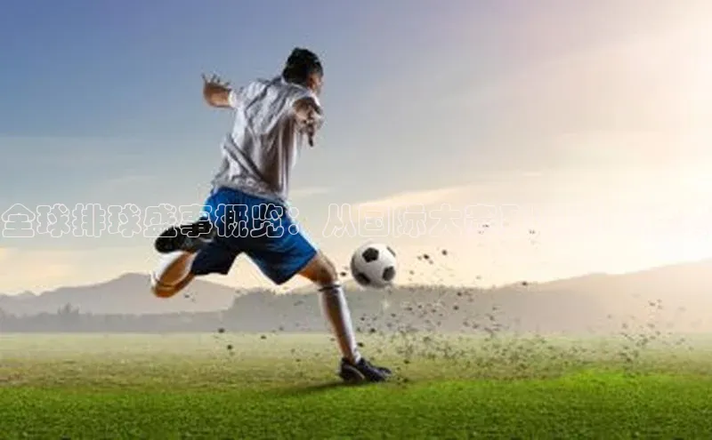 杏宇平台登录官网