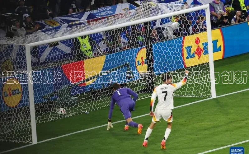 杏宇平台登录首页