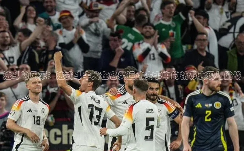 杏宇平台登录首页