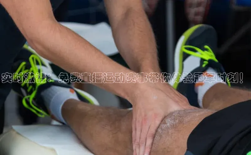 杏宇手游官网入口最新版本更新内容