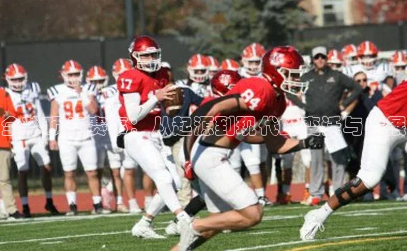 杏宇代理登录中心