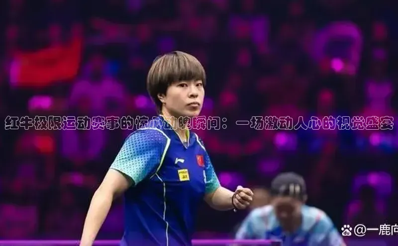 杏宇平台登录入口注册账号