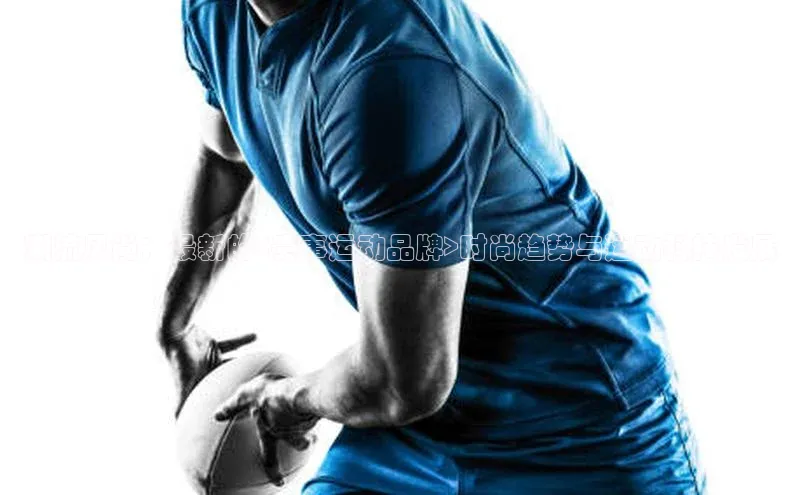 杏宇平台登录入口2024最新版