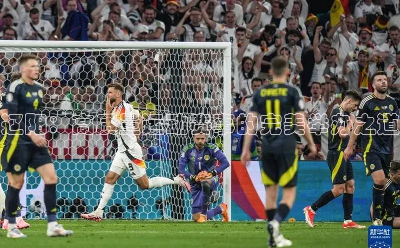 杏宇平台登录官网