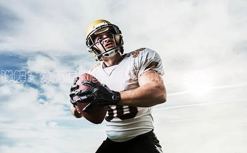 杏宇注册平台登录