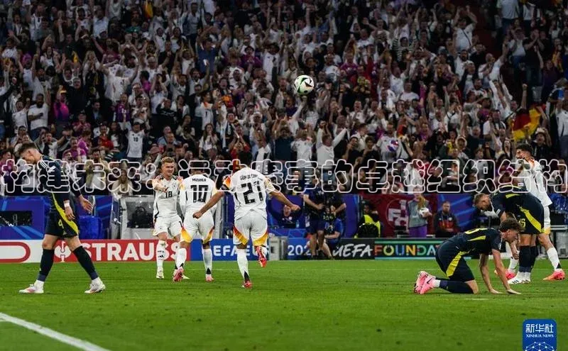 杏宇娱乐平台登录