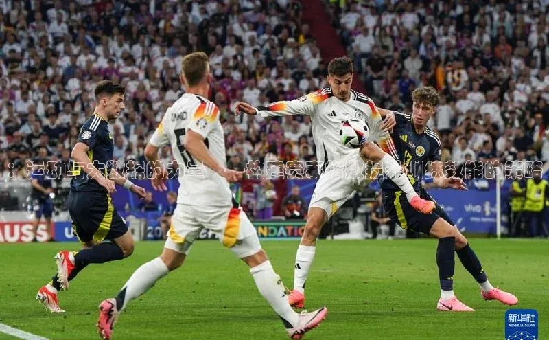 杏宇代理登录中心